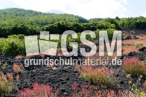 Sizilien (452 von 565).jpg